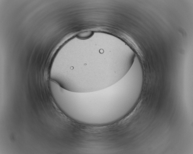 X0000113261284200910081332