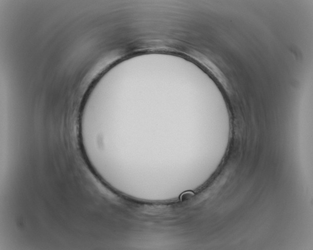 X0000113261285200910081332