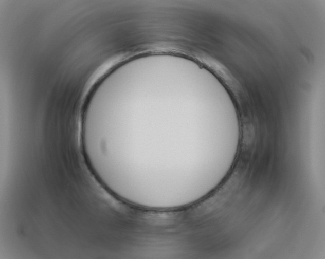 X0000113261286200910081332