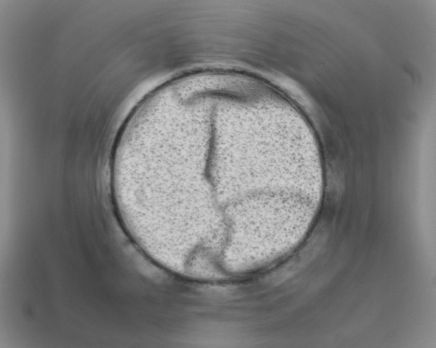 X0000113261287200910081332