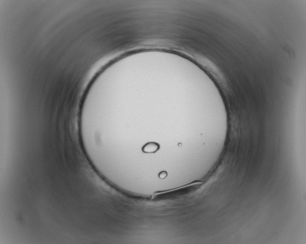 X0000113261288200910081332