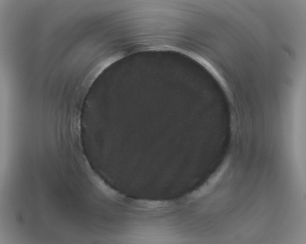 X0000113261289200910081332