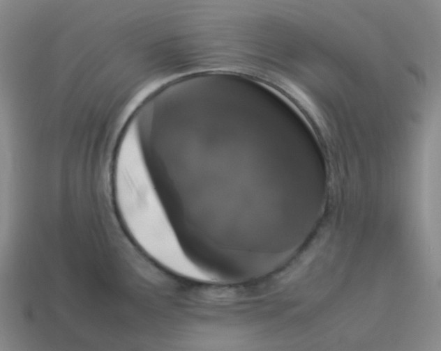 X0000113261291200910081332