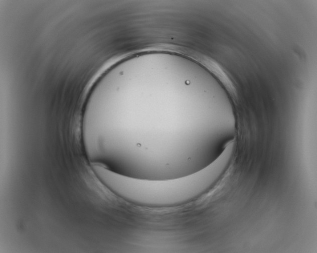 X0000113261292200910081332