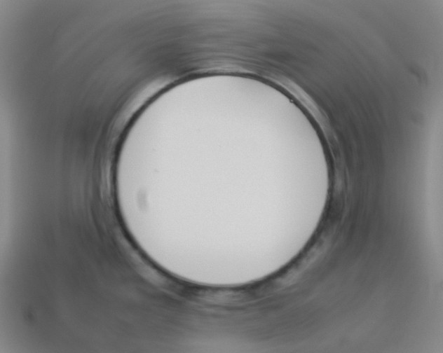 X0000113261293200910081332
