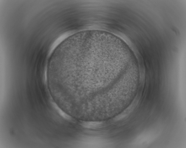 X0000113261294200910081332