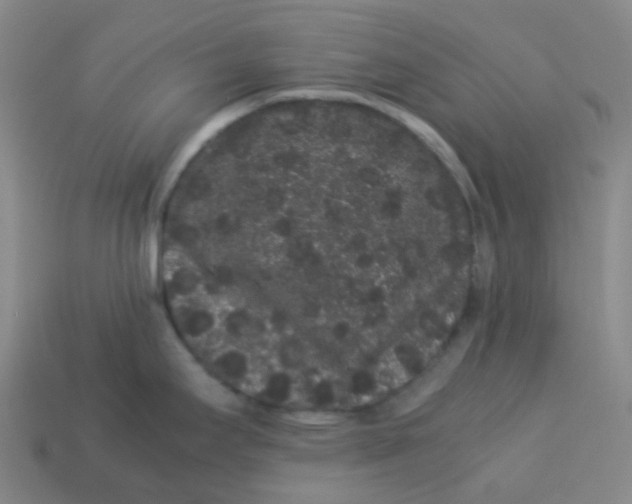 X0000113261295200910081332