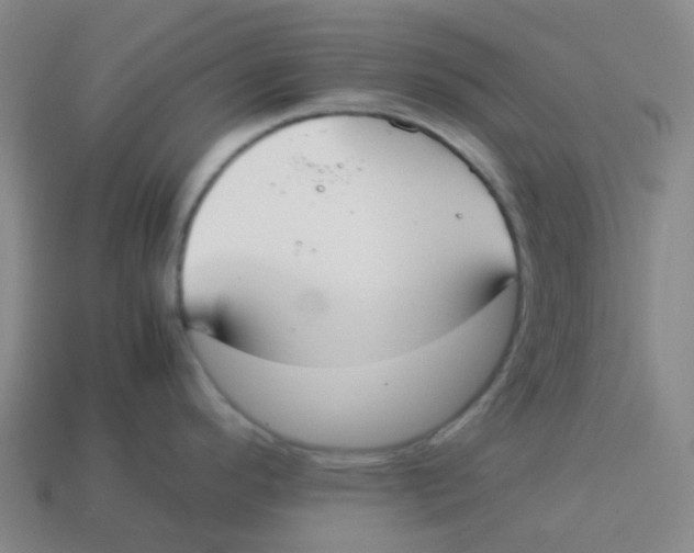 X0000113261296200910081332