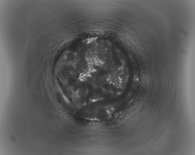 X0000113261297200910081331