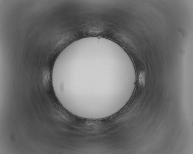 X0000113261299200910081331
