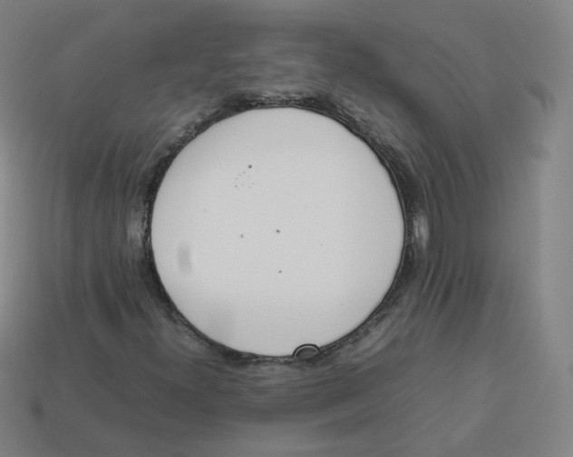 X0000113261300200910081331