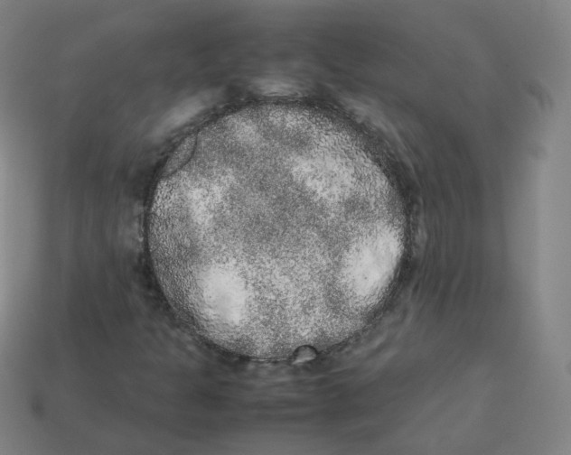 X0000113261301200910081331