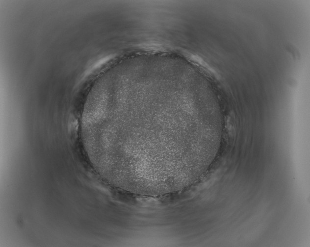 X0000113261302200910081331