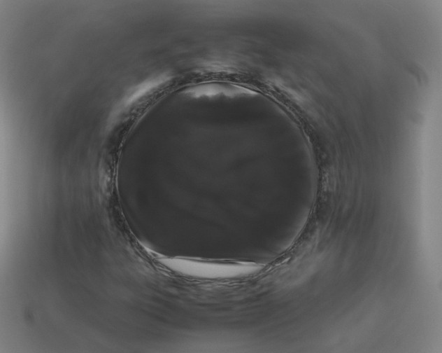 X0000113261303200910081331
