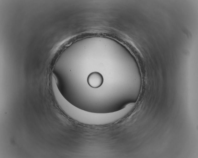 X0000113261304200910081331