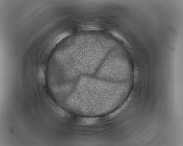 X0000113261305200910081331