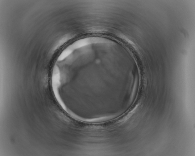 X0000113261306200910081331