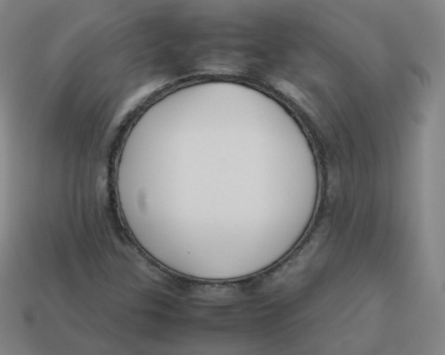 X0000113261307200910081331