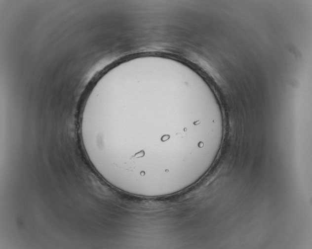 X0000113261308200910081331