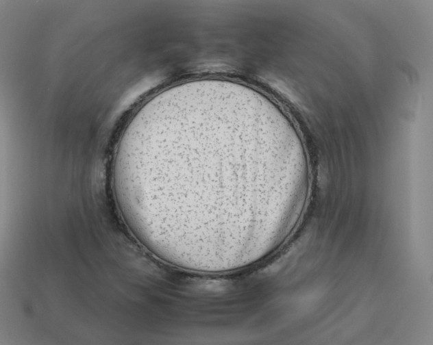 X0000113261309200910081331