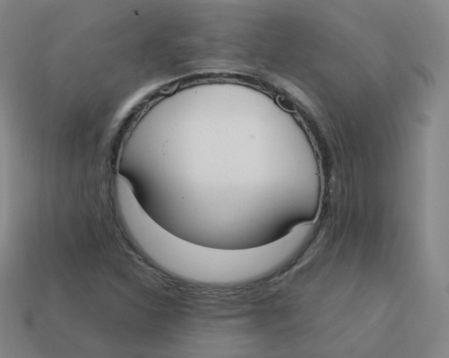 X0000113261310200910081331