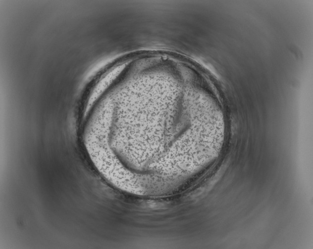 X0000113261311200910081331