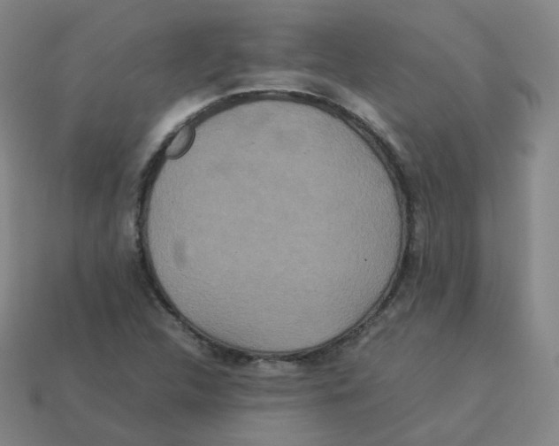 X0000113261312200910081331