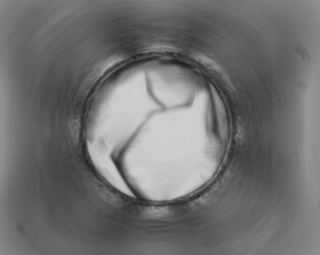 X0000113261313200910081331
