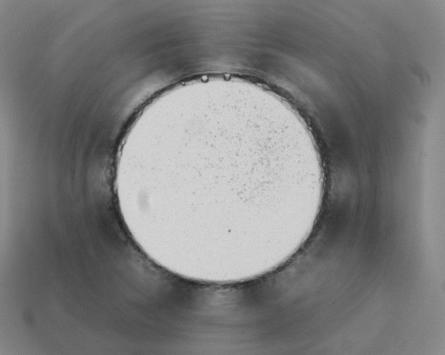 X0000113261314200910081331