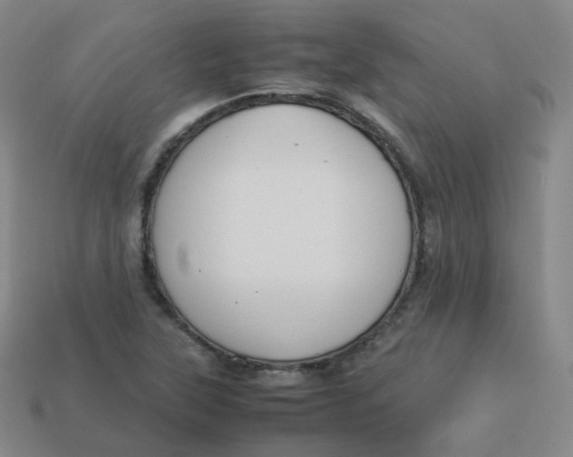 X0000113261315200910081331
