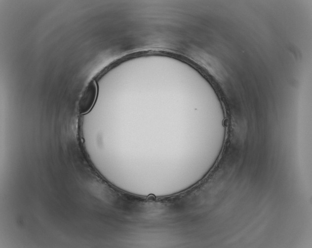 X0000113261316200910081331