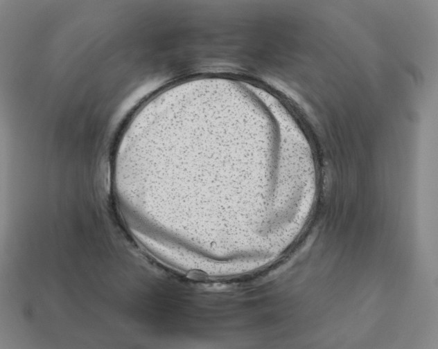 X0000113261317200910081331