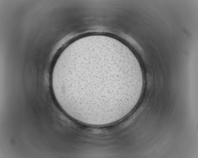 X0000113261318200910081331