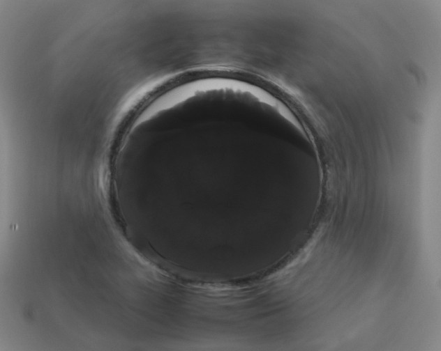 X0000113261319200910081331