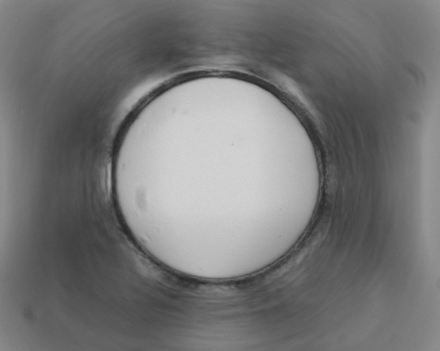X0000113261320200910081331