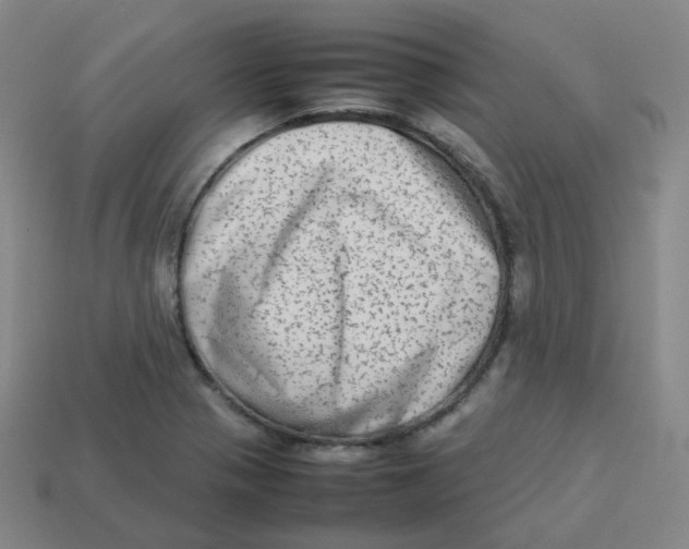 X0000113261321200910081331