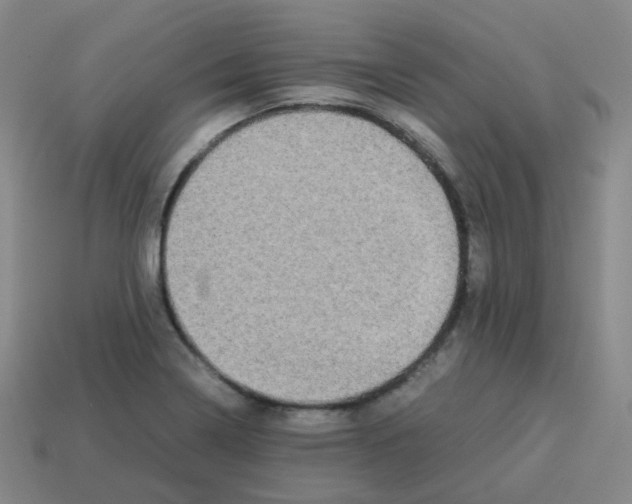 X0000113261322200910081331