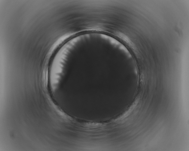 X0000113261323200910081331