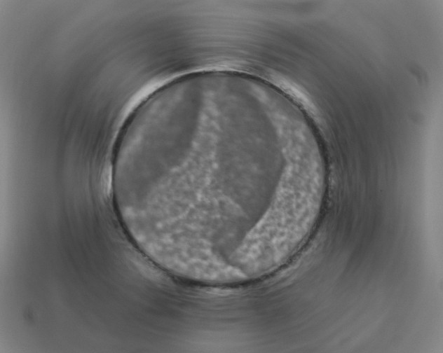 X0000113261324200910081331