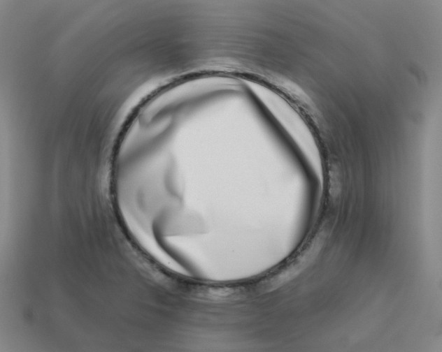 X0000113261326200910081331