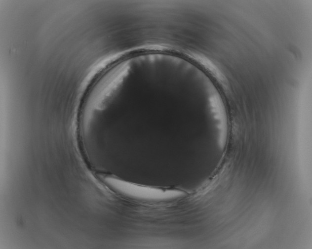 X0000113261327200910081331