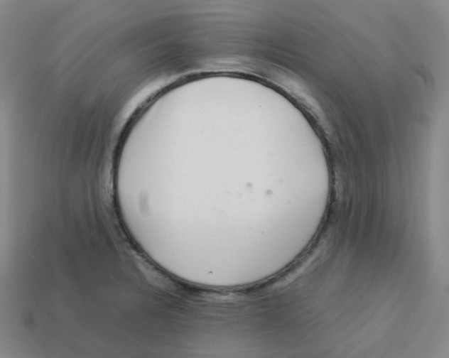 X0000113261328200910081331