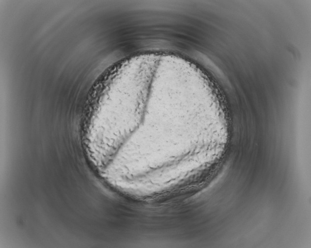 X0000113261329200910081331