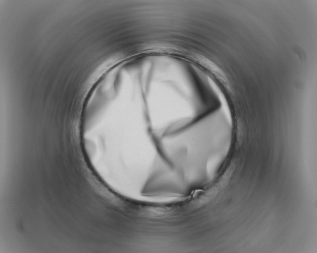 X0000113261330200910081331