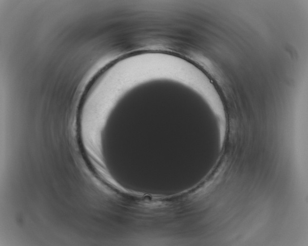 X0000113261331200910081331