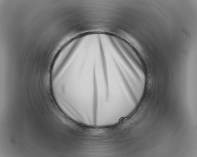 X0000113261332200910081331