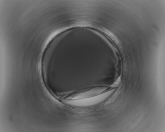X0000113261334200910081331