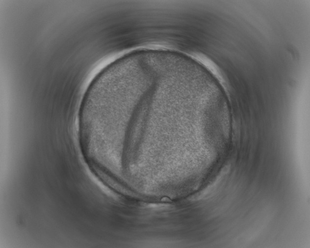 X0000113261335200910081331