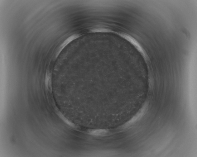 X0000113261337200910081331