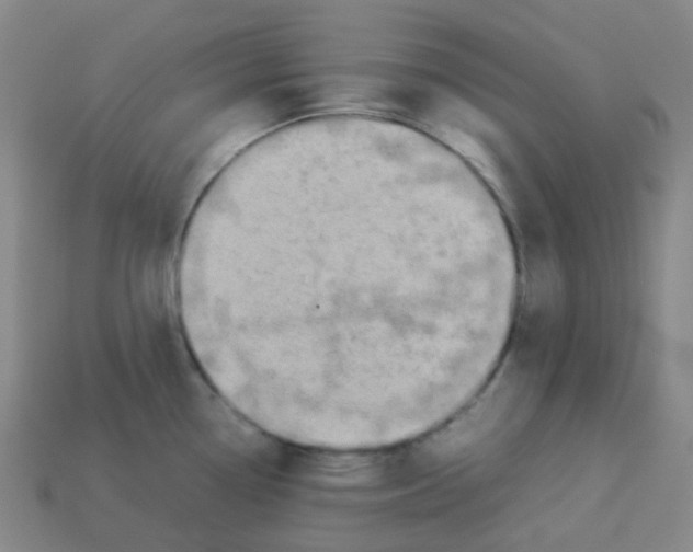 X0000113261338200910081331